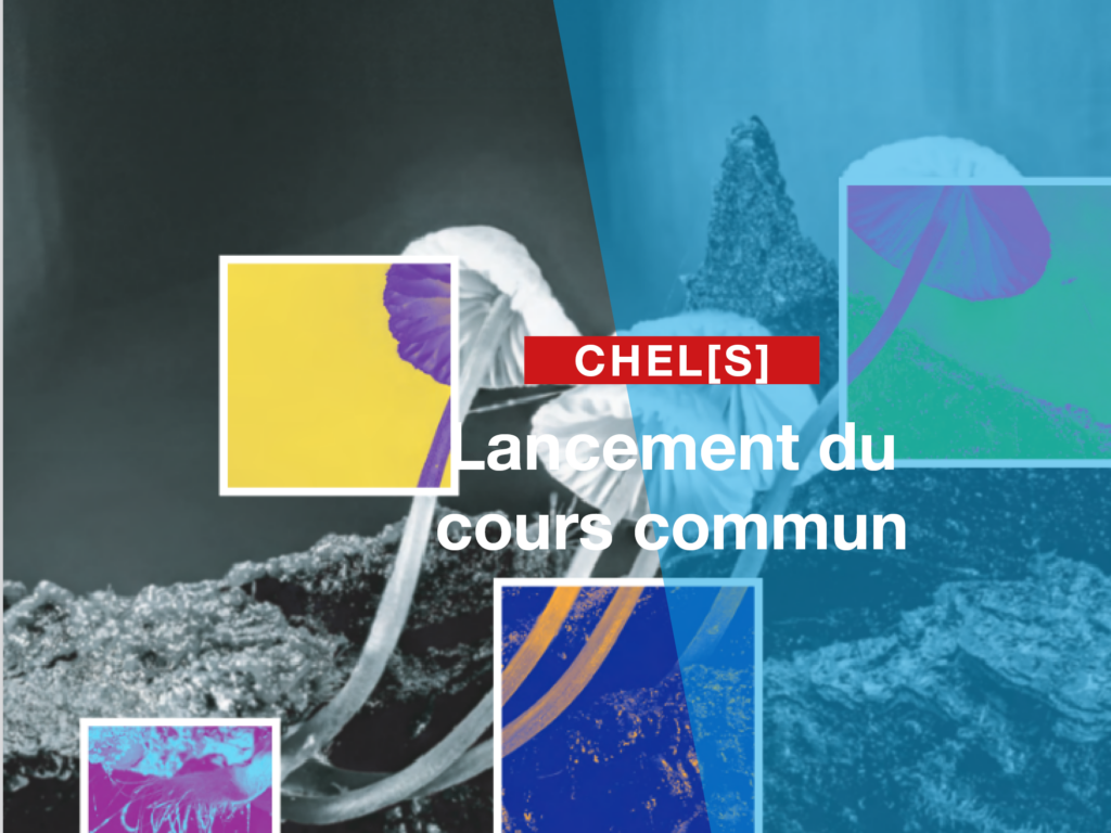 actu-cours_commun_chels